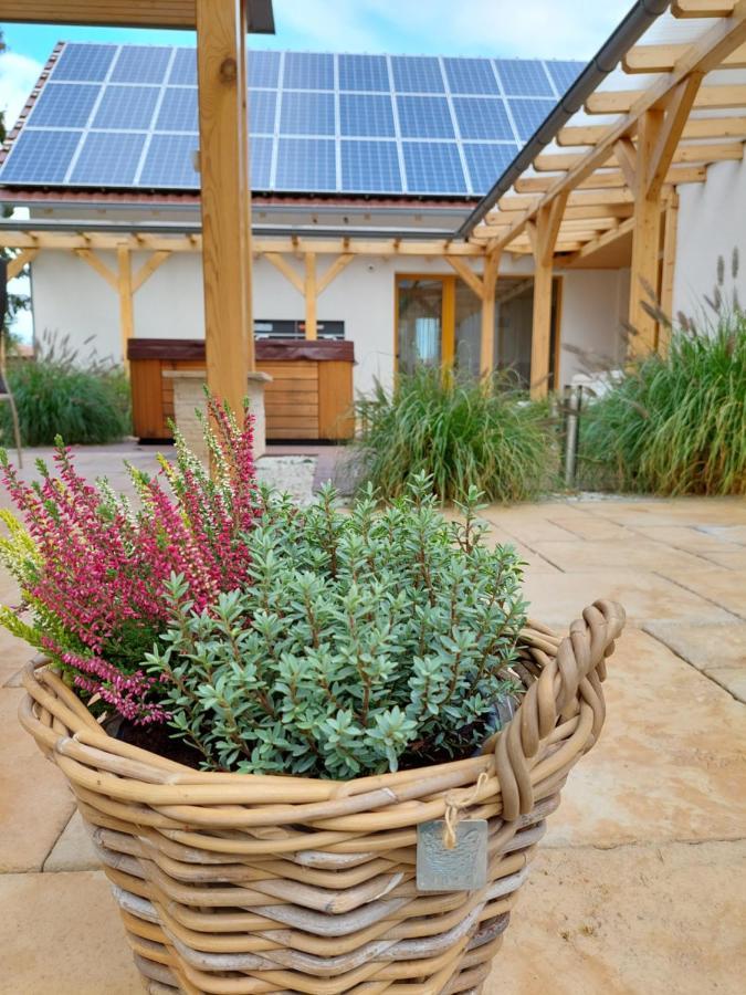 Villa Quality Wellness Dozmat Exteriér fotografie