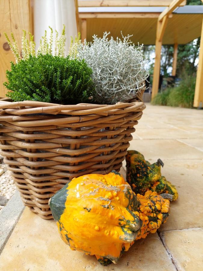 Villa Quality Wellness Dozmat Exteriér fotografie