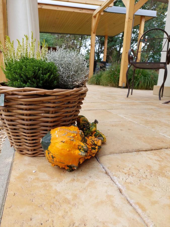 Villa Quality Wellness Dozmat Exteriér fotografie